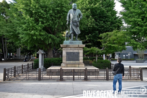 Tournoi de sumos de mai 2014 à Tokyo