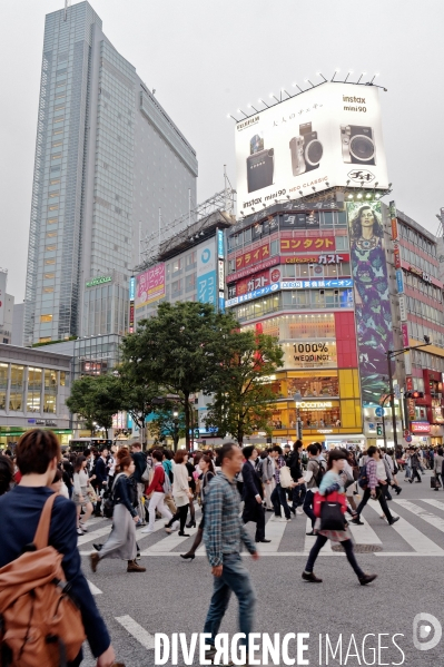 Tournoi de sumos de mai 2014 à Tokyo