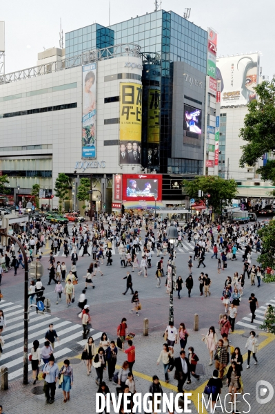 Tournoi de sumos de mai 2014 à Tokyo