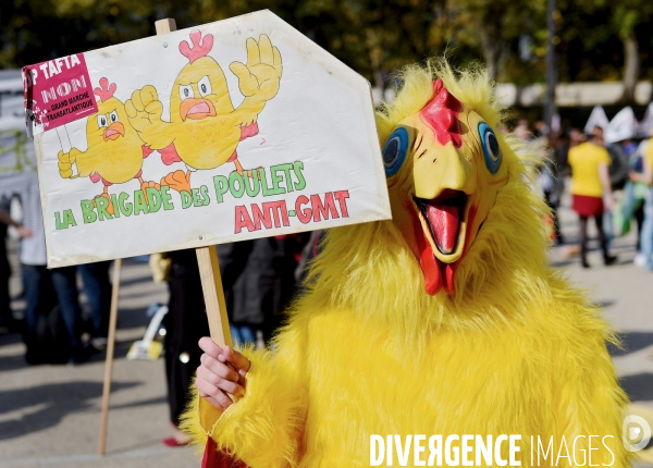 Manifestation contre le TAFTA