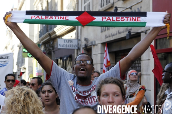 Manifestation de soutien à la Palestine.