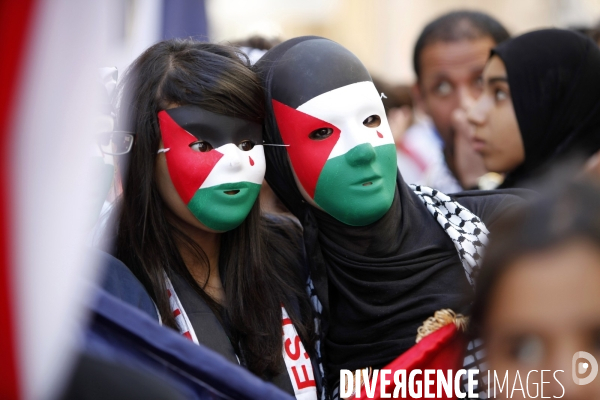 Manifestation de soutien à la Palestine.