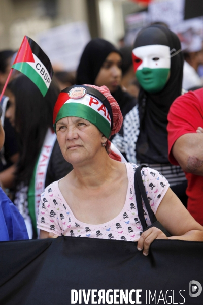 Manifestation de soutien à la Palestine.