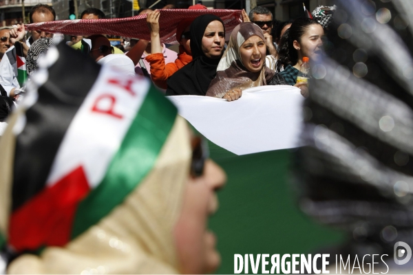 Manifestation de soutien à la Palestine.