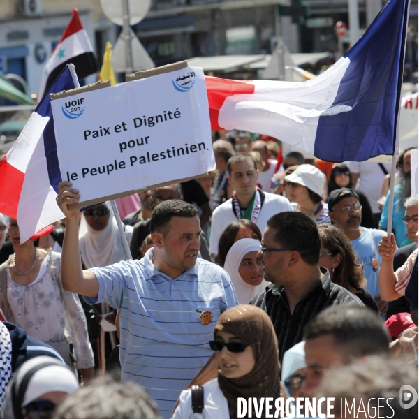 Manifestation de soutien à la Palestine.