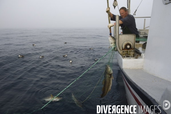 Pêche à Saint Pierre et Miquelon