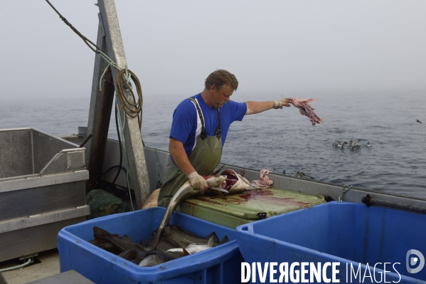 Pêche à Saint Pierre et Miquelon