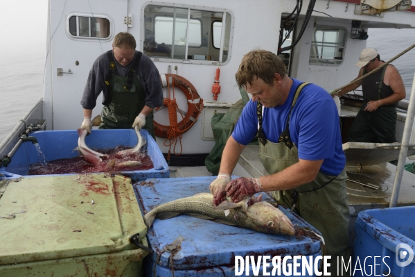 Pêche à Saint Pierre et Miquelon