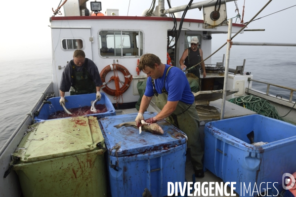 Pêche à Saint Pierre et Miquelon