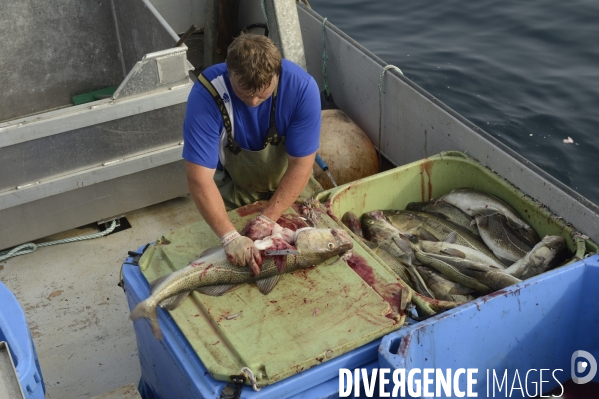 Pêche à Saint Pierre et Miquelon