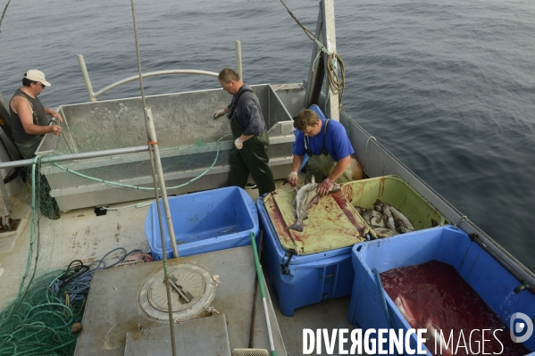 Pêche à Saint Pierre et Miquelon