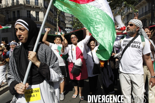 Manifestation de soutien à la Palestine.