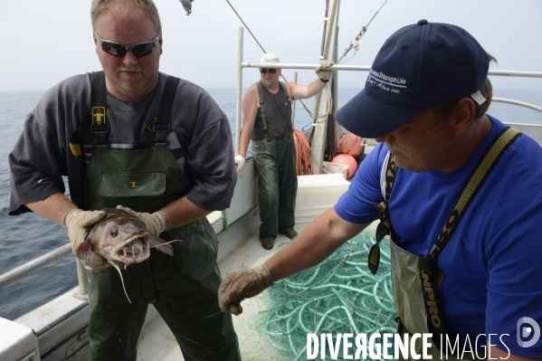 Pêche à Saint Pierre et Miquelon