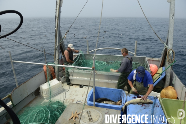 Pêche à Saint Pierre et Miquelon