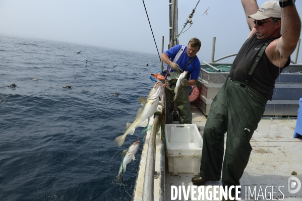 Pêche à Saint Pierre et Miquelon