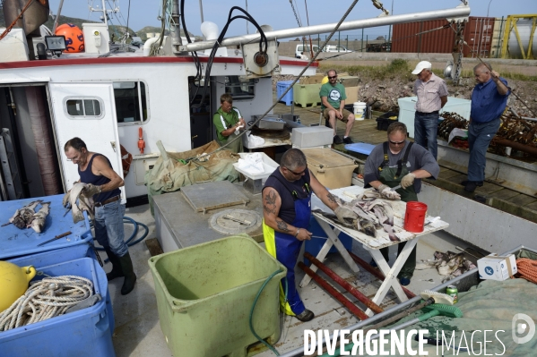 Pêche à Saint Pierre et Miquelon