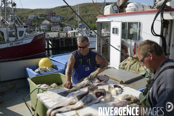 Pêche à Saint Pierre et Miquelon