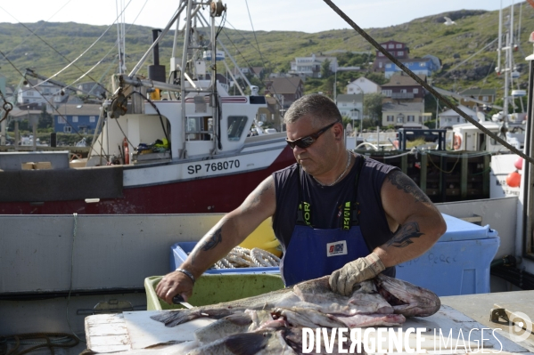 Pêche à Saint Pierre et Miquelon