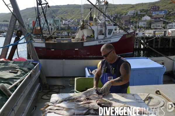 Pêche à Saint Pierre et Miquelon