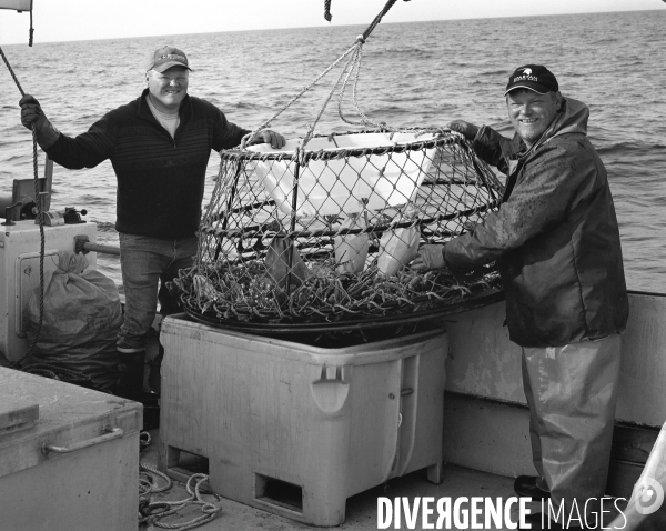 Un été à Saint Pierre et Miquelon
