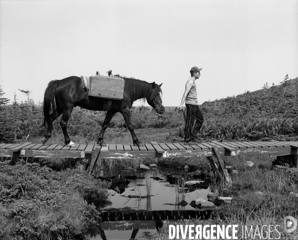 Un été à Saint Pierre et Miquelon