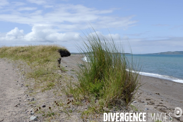 Un été à Saint Pierre et Miquelon