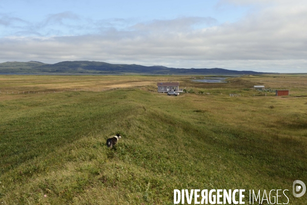 Un été à Saint Pierre et Miquelon