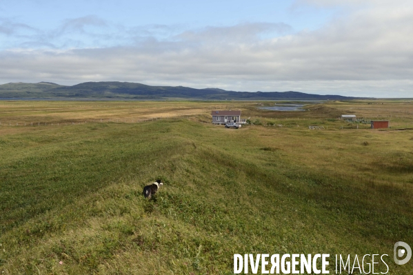 Un été à Saint Pierre et Miquelon