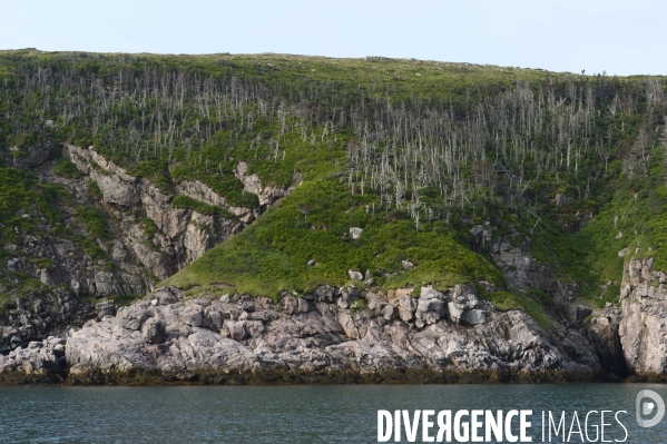 Un été à Saint Pierre et Miquelon