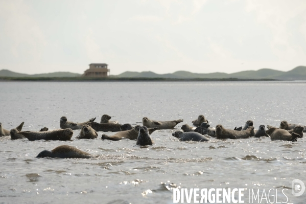 Un été à Saint Pierre et Miquelon