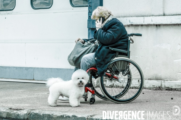 Paris Dog Show