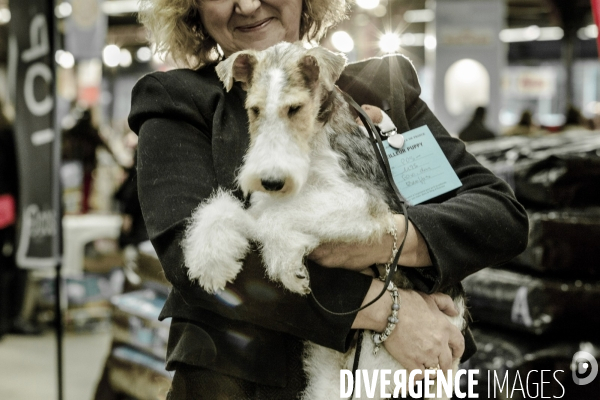 Paris Dog Show