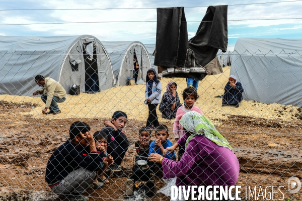 Syrian Kurdish refugees who fled Kobani,  Réfugiés kurdes syriens qui ont fui Kobané,