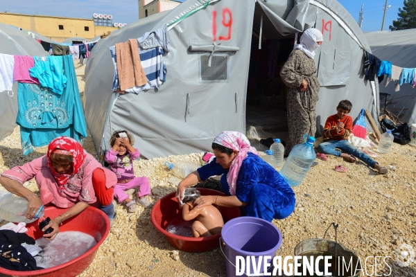 Syrian Kurdish refugees who fled Kobani,  Réfugiés kurdes syriens qui ont fui Kobané,