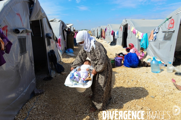 Syrian Kurdish refugees who fled Kobani,  Réfugiés kurdes syriens qui ont fui Kobané,