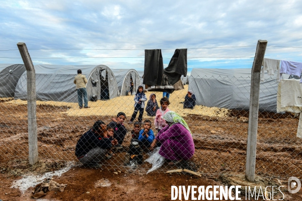 Syrian Kurdish refugees who fled Kobani,  Réfugiés kurdes syriens qui ont fui Kobané,