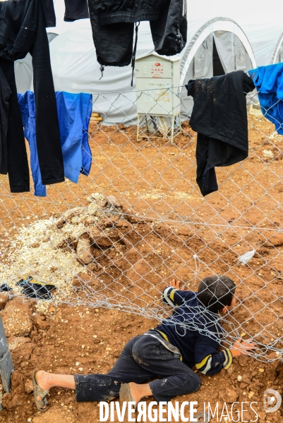 Syrian Kurdish refugees who fled Kobani,  Réfugiés kurdes syriens qui ont fui Kobané,