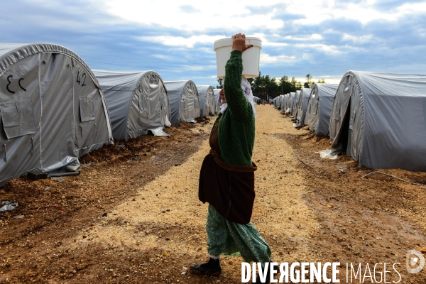 Syrian Kurdish refugees who fled Kobani,  Réfugiés kurdes syriens qui ont fui Kobané,