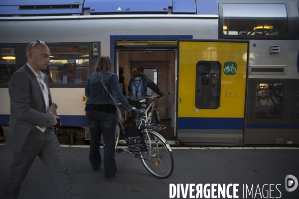 TER Nord Pas de Calais