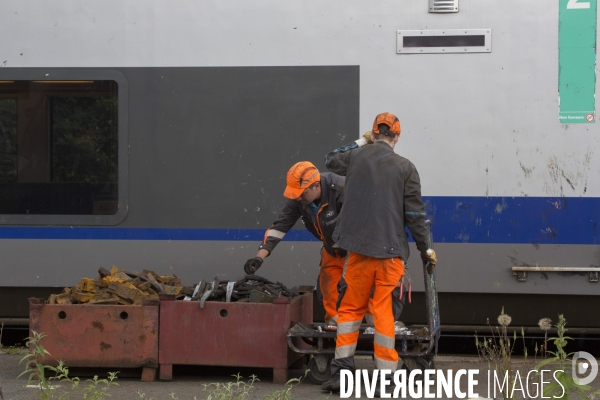 TER Nord Pas de Calais