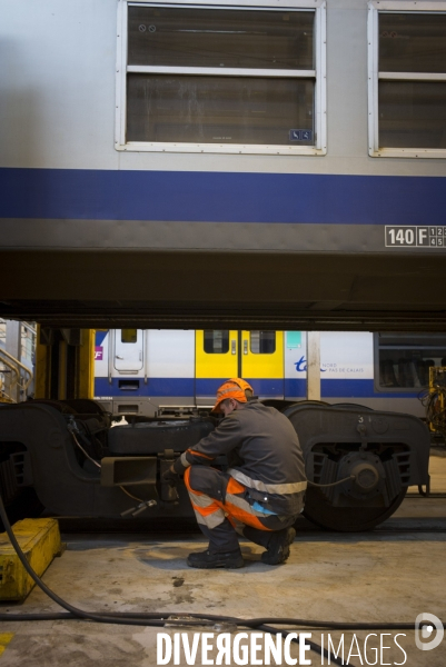 TER Nord Pas de Calais