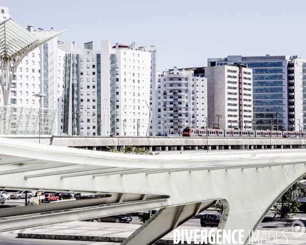 Lost in Lisbon, 2014