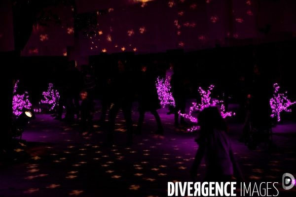 La Nuit Blanche 2014 à Amiens - KEYFRAMES