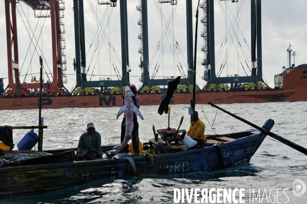 Made in TOGO : Livraison des grues ZPMC au Port Autonome de Lomé.