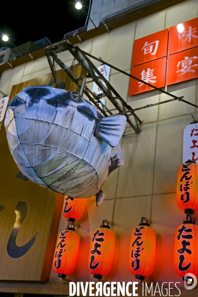 Osaka. Dotonbori