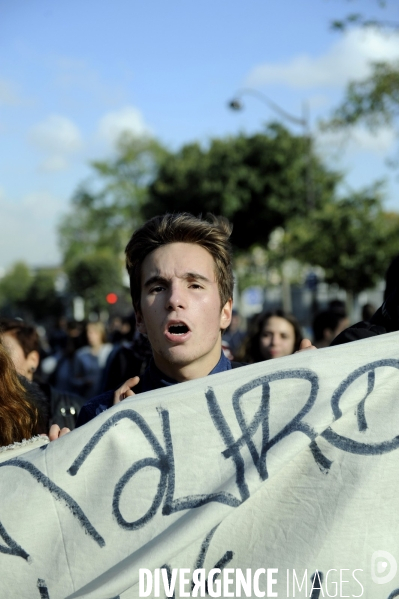 Manifestation de lycéens contre la mort de Rémi FRAISSE