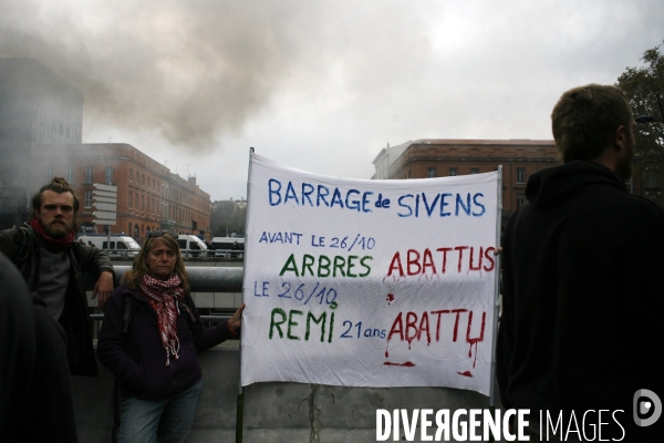 Manifestation contre le barrage de Sivens