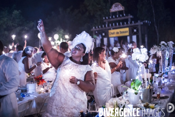 Diner en blanc en haiti.