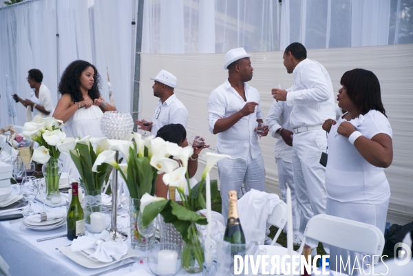 Diner en blanc en haiti.