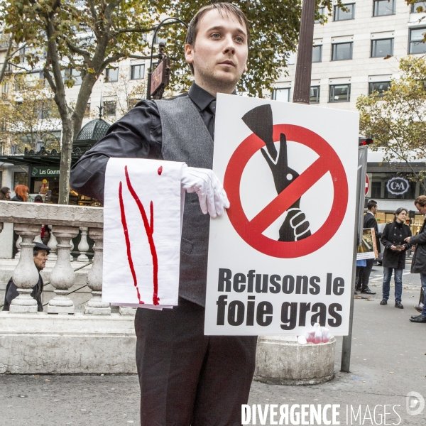 Action contre le foie gras